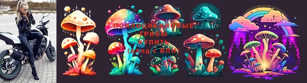 твердый Верхний Тагил
