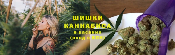 твердый Верхний Тагил